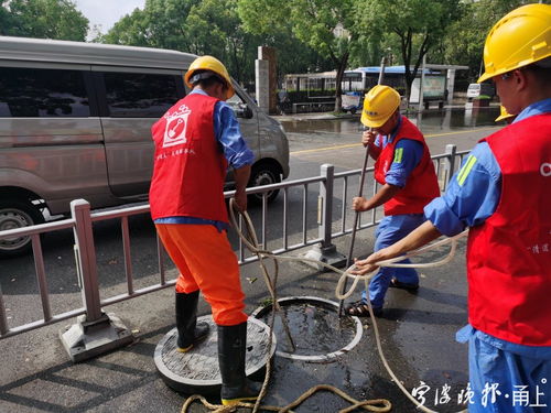 風雨同舟,奉化城管應急救援隊馳援海曙——記一次緊急救援行動